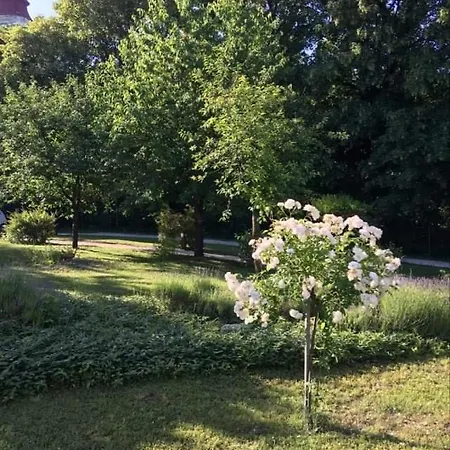 Szent Jakab